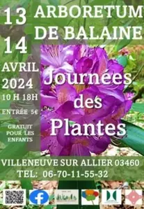 Journées des plantes Balaine